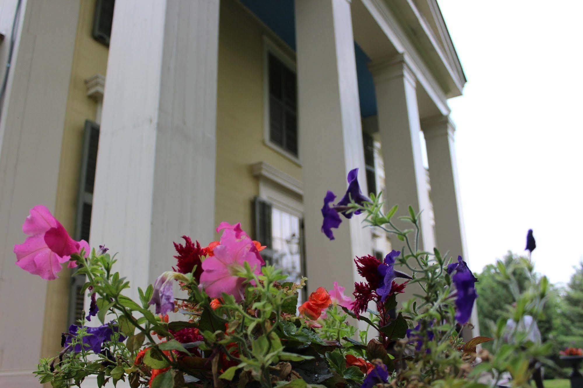 Oakcliff Bed And Breakfast Halfmoon Экстерьер фото